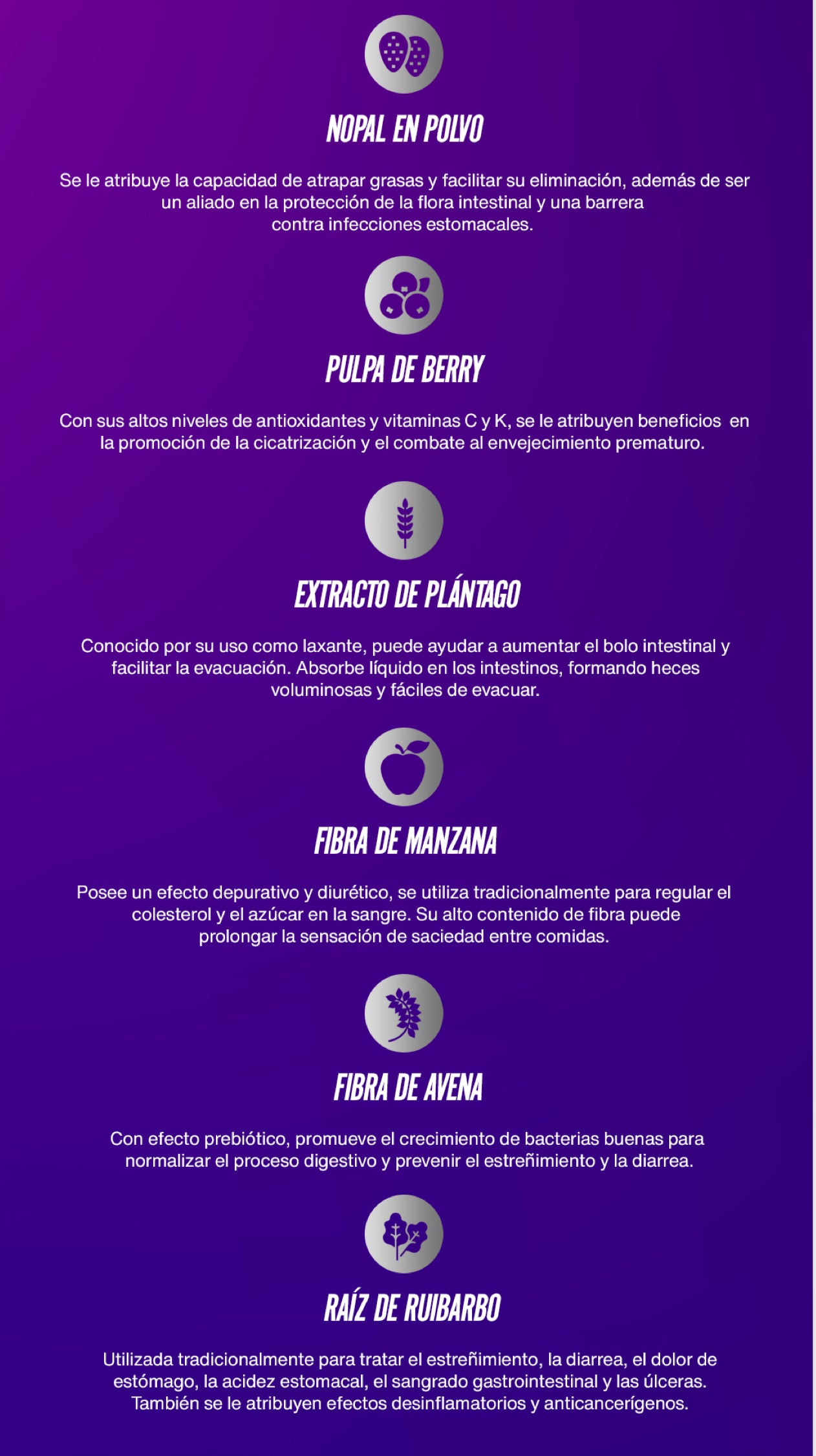 BIOHACKING TÉ DETOX🫐 (1 MES) 4 sobres